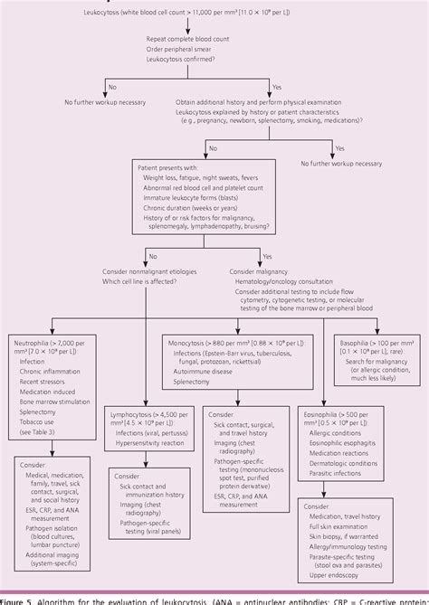 Evaluation Of Patients With Leukocytosis American Family