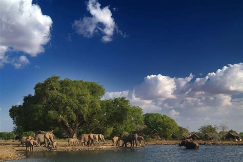 Tsavo East National Park | Kenya | Expert Africa