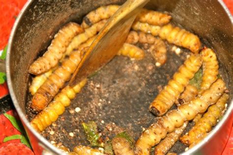 Tree worm one of the delicacies of the people of Nagaland. | Food ...