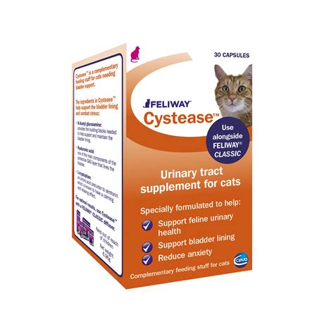 Cat Idiopathic Cystitis