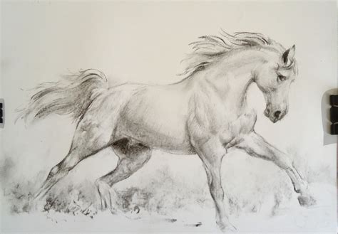 Running Horses Drawing at GetDrawings | Free download