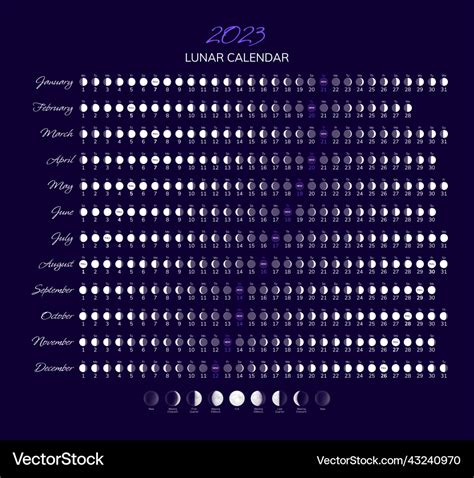 2023 year moon calendar with lunar phases Vector Image