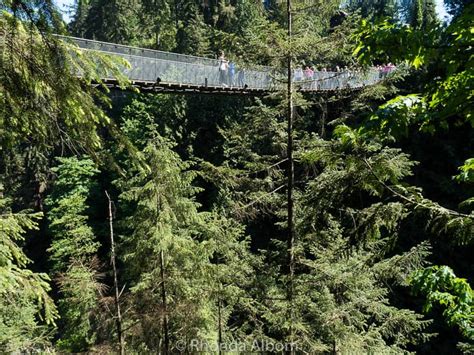 Capilano Suspension Bridge Challenges my Fear of Heights