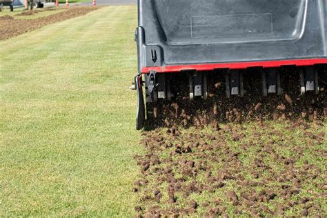 When To Aerate Lawns In North Carolina - RDS Lawn Care