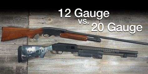 Comparing 12 Gauge vs 20 Gauge - What's A Better Shotgun Bet?