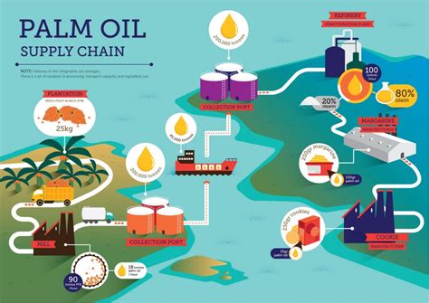 Palm Oil - What is it and why is it important? - Green Campus Initiative - University of Maine