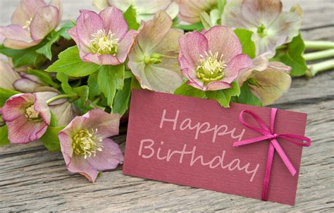 93 Background Happy Birthday Flowers Images - MyWeb