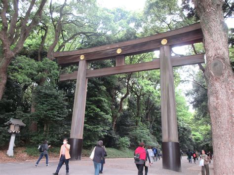 都心に佇むパワースポット明治神宮！明治神宮の魅力や、周辺グルメ、観光スポットを解説 | TABI CHANNEL