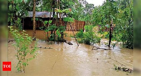 'Assam among 5 states vulnerable to extreme climate events' | Guwahati News - Times of India