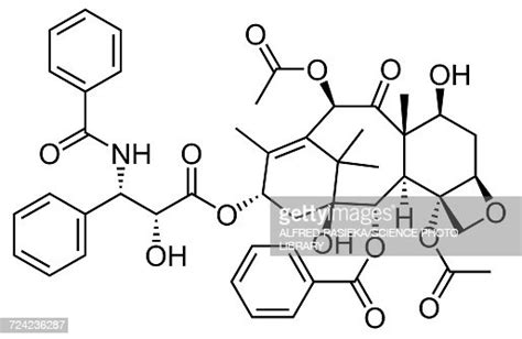 Taxol Drug Molecule Skeletal Formula High-Res Vector Graphic - Getty Images