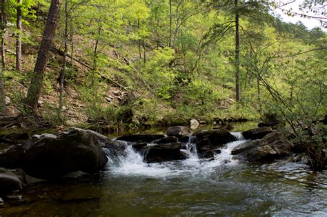 Caney Creek Trail Cascade Video (Ouachita Forest) | Arklahoma Hiker