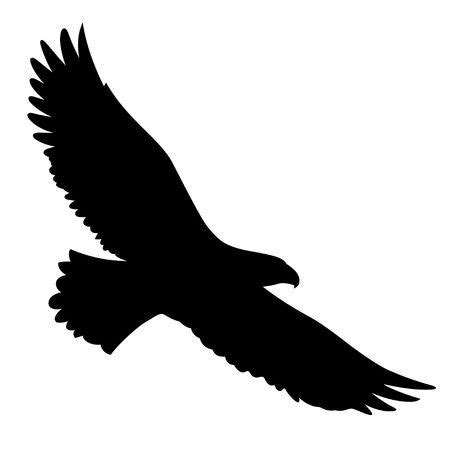 Hawk Silhouette Stock Photos And Images - 123RF | Eagle silhouette ...