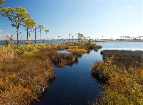 Bon Secour National Wildlife Refuge | Gulf Shores & Orange Beach