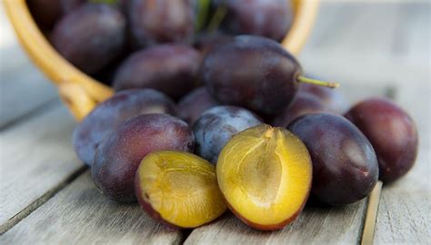 Plum Tree Identification | Garden Guides