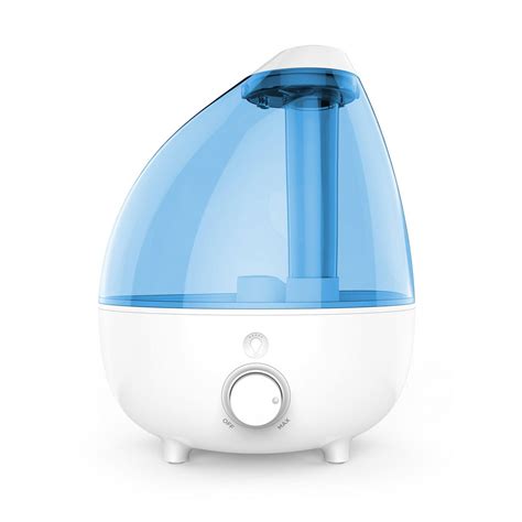 The Best Humidifiers for Houseplants: Get the Right One for Your Green Thumb!