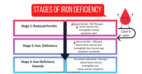 Ferritin: The Blood Test Women Should Get at Every Doctor's Visit - Maryann Jacobsen