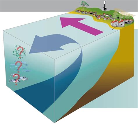 Upwelling and Downwelling in the ocean - Redmap