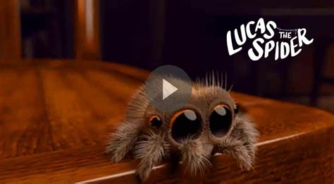 Lucas the Adorable Spider for Android - APK Download