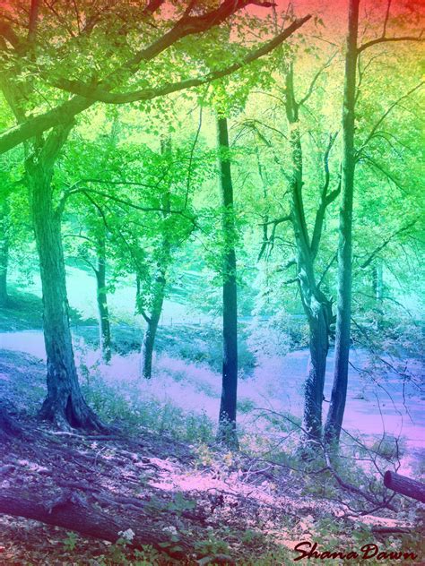 Rainbow Forest by ShanaDawn on DeviantArt