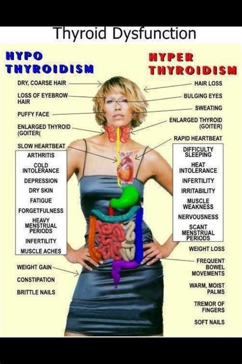 Thyroid Dysfunction Posted on November 6, 2012 by PositiveMed Team It’s ...