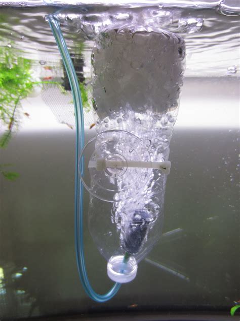 DIY Kaldnes Media Aquarium Filter - A Step-By-Step Guide