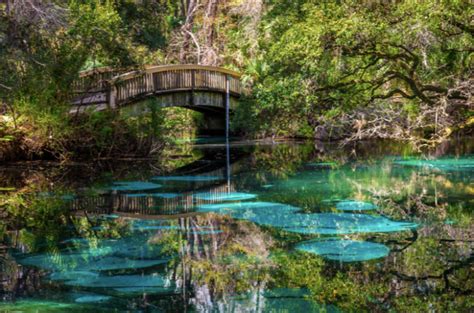 Explore Juniper Springs