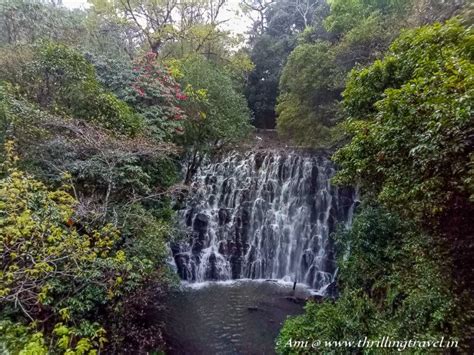 Chasing the gorgeous waterfalls in Meghalaya - Thrilling Travel