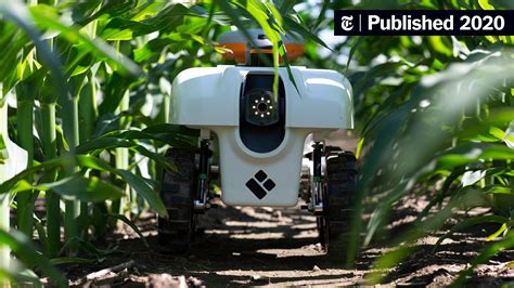 A Growing Presence on the Farm: Robots - The New York Times