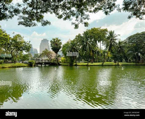 Water monitors inside living space park between business buildings in Lumpini Park, Bangkok ...