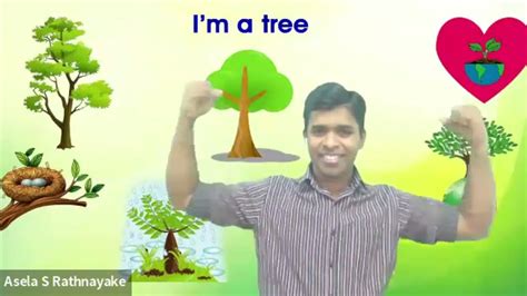 I am a tree | ‍ගසක් කතා කරයි. - YouTube