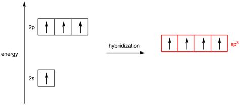 What is the hybridization of each carbon in this molecule? | Socratic