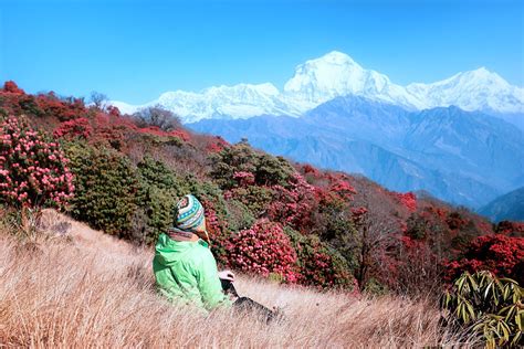 Ghorepani Poon Hill Trek – Trekking in Nepal: Trekking and Hiking Tours in the Himalayas of Nepal