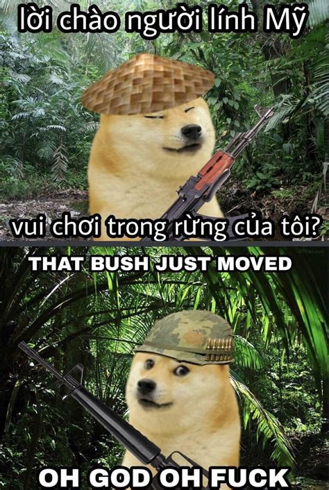 Vietnam Doge | Ironic Doge Memes | Know Your Meme