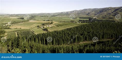 Franschhoek stock image. Image of land, culture, campaign - 3015047