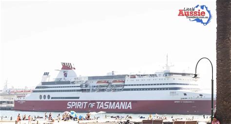 Sailing Spirit of Tasmania with Kids (& a dog). | Little Aussie Travellers