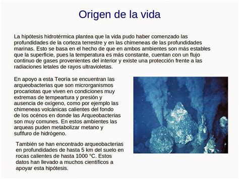 Café y Biología: Lección 12 origen de la vida