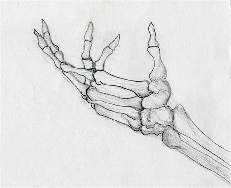 skeleton hand drawing holding - Google Search | Skeleton drawings, Skeleton hands drawing ...