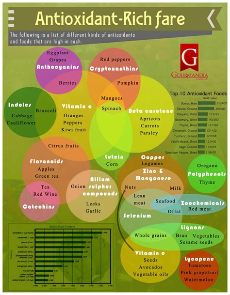 Understanding the health benefits of antioxidants and how they combat free radicals. Learn where ...