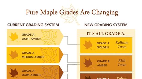 Grade Inflation In The Maple Syrup Aisle: Now Everything Is An 'A ...