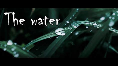 The water | Cinematic movie | Nature videos | Videography | HANDHELD - YouTube