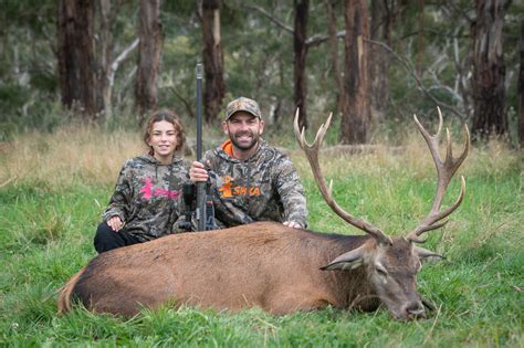 State Forest Hunting for Queensland Campaign - Sporting Shooter