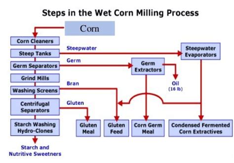 The corn wet milling process. | Download Scientific Diagram