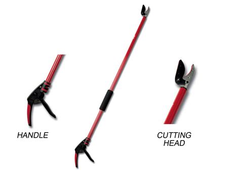 The 5 Best Manual Pole Pruners | Dengarden