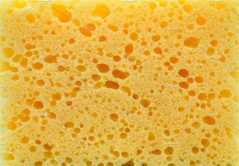 sponge texture background | High-Quality Abstract Stock Photos ~ Creative Market