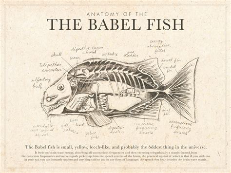 John Viet Triet Nguyen - Babel Fish Anatomy