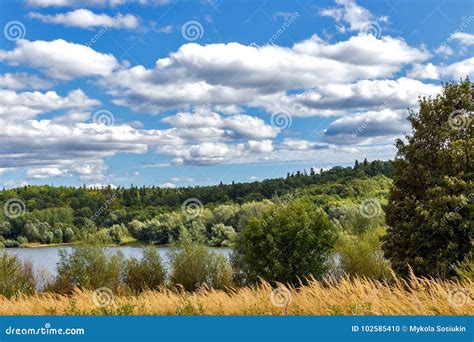 Lake in the Forest Blue Sky Background, Trees and Sky Reflected Stock ...