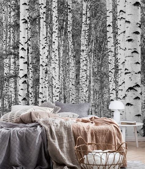 Birch trees black and white wall mural from happywall #trees #white #forest #wallpaper # ...