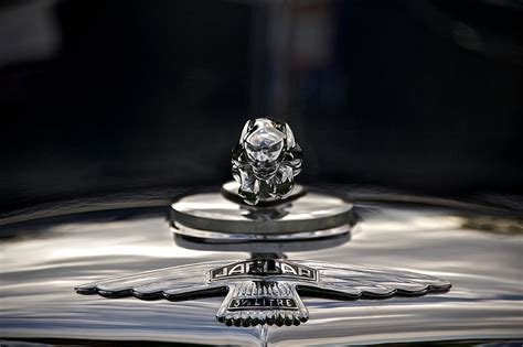 Jaguar Hood Ornament 2 Photograph by Dave Koontz - Pixels