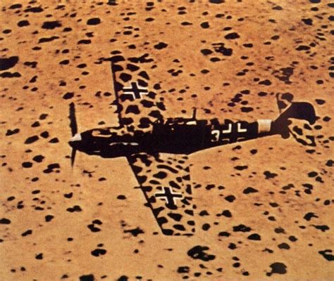 Best Examples Of Aircraft Camouflage - Aviation Humor