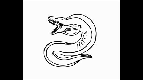 How To Draw Eels - Rowwhole3